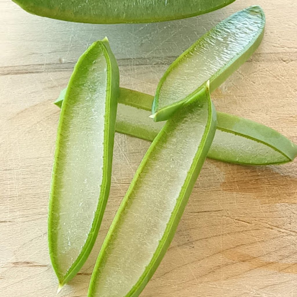 I benefici dell’Aloe vera: una guida completa su proprietà, usi ed effetti dell’Aloe